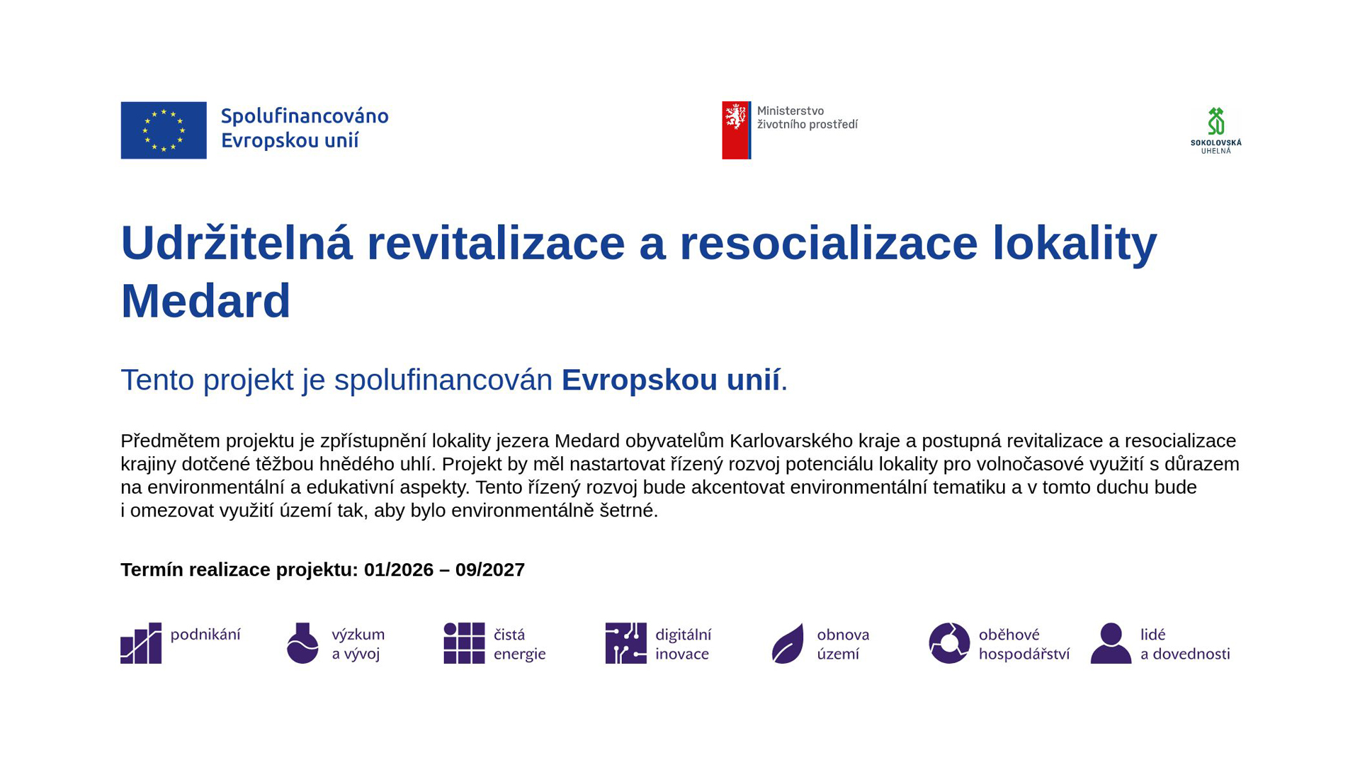 Medard publicita web